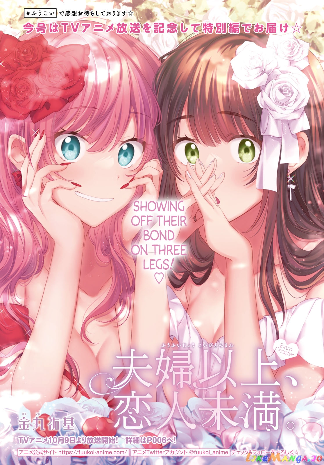 More Than a Married Couple, But Not Lovers, Chapter 54.5 image 01